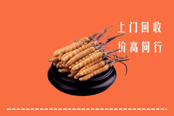 高价求购：杜集区回收散虫草